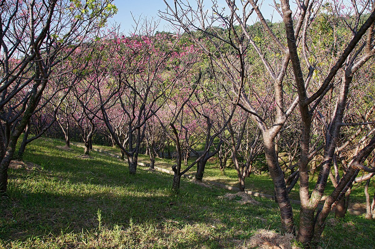 末吉公園の風景