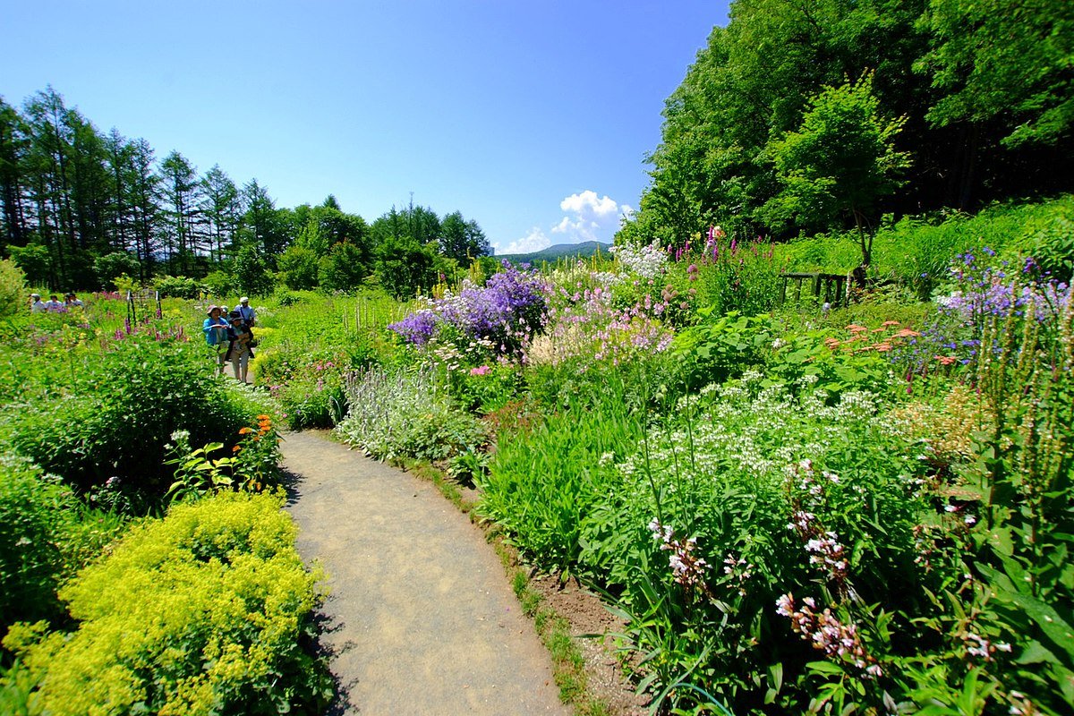 風のガーデンの風景