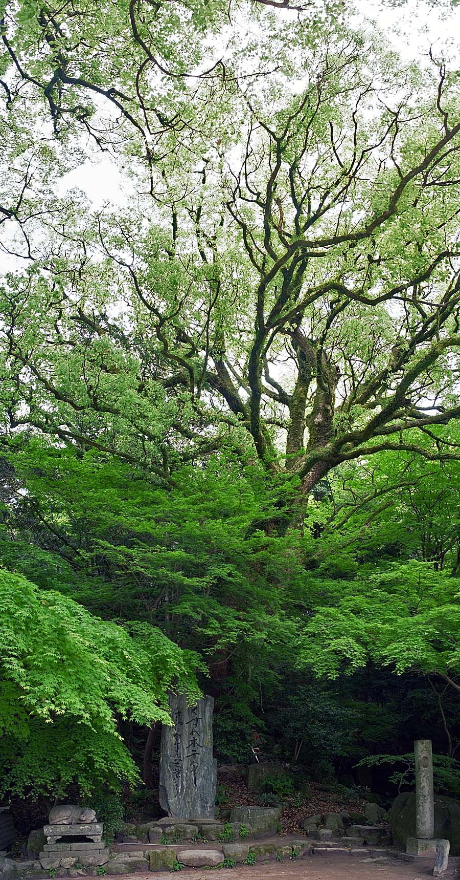 太宰府天満宮の風景