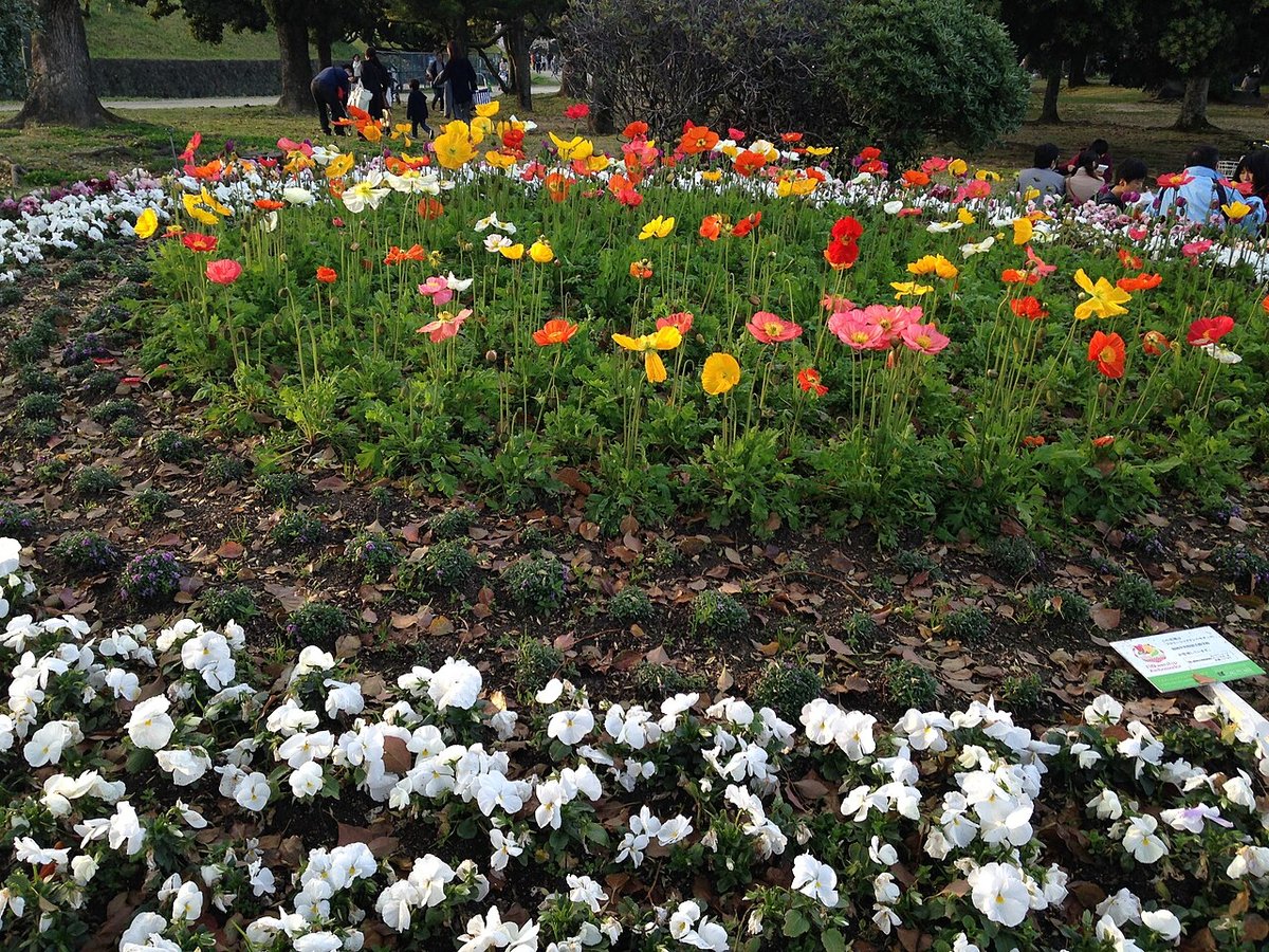 福岡城跡(舞鶴公園)の風景