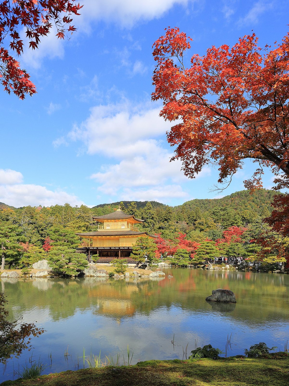 金閣寺の風景