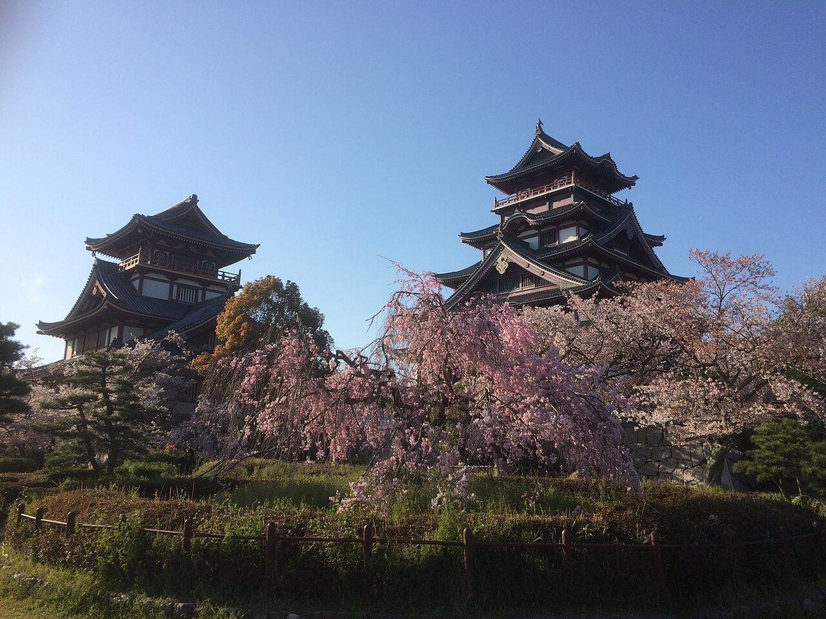 伏見桃山城の風景