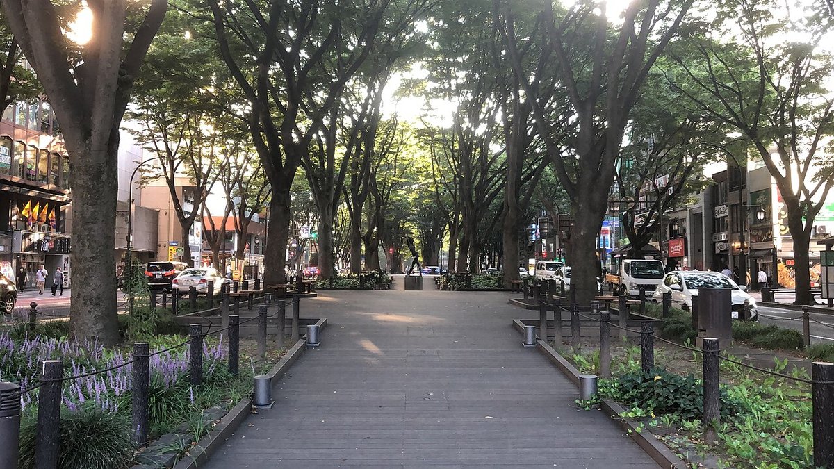 定禅寺通の風景