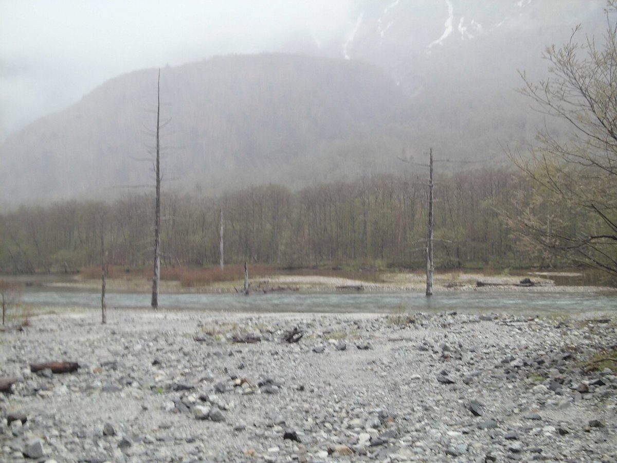 大正池の風景