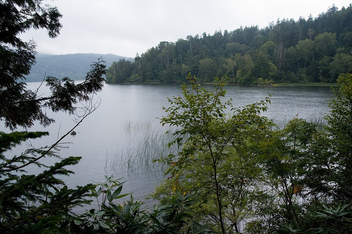 尾瀬沼の風景