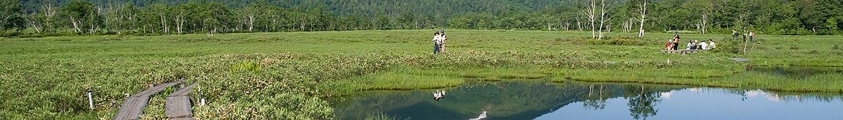 尾瀬ヶ原の風景