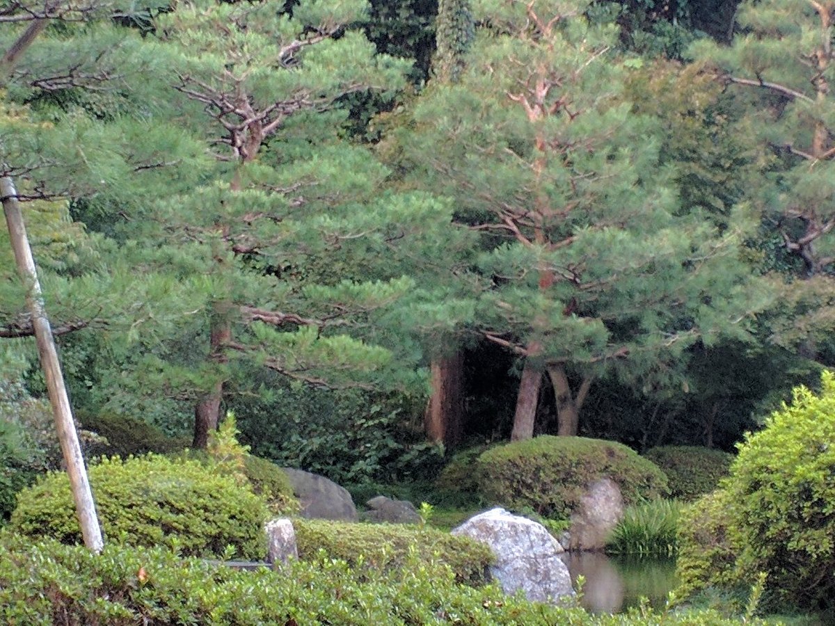 金沢城公園の風景