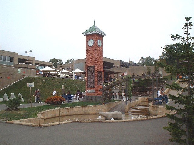旭川動物園（旭山動物園）の風景